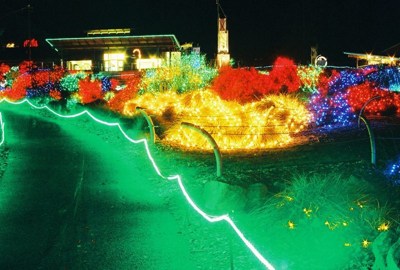 Illustration for article titled Photo Contest: Christmas Lights